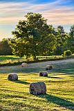 Bales At Sunrise_25412-4